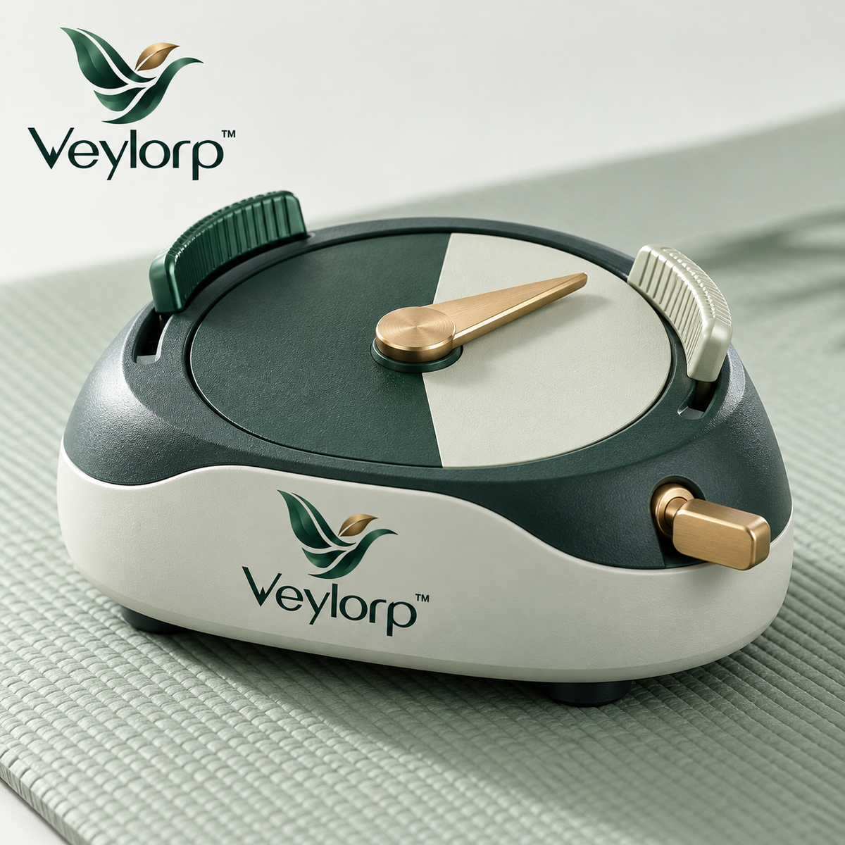Veylorp™ TwoPhase Mechanical Workout Pacer